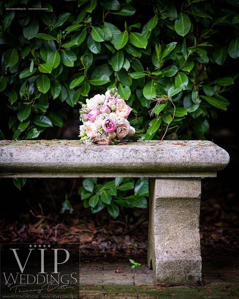 Huwelijksfotograaf-Photogrape-Mariage-Fotomoment-Moments-Photos-VIPWeddings-6948.JPG Huwelijksfotos Lynn en Matthias Huwelijksfotograaf Avin,BelgiÃ«,Belgique,Braives,Crehen,Fine Art,Fotomoment,Goedsenhoven,Hannut,HÃ©lÃ©cine,Hoegaarden,Huwelijksfotograaf,Landen,Leuven,Lincent,Moments Photos,Orp-Jauche,Photographe de mariage,Photos de mariage,Raccour,Sint-Truiden,Thierry Botten,Tienen,Toffe