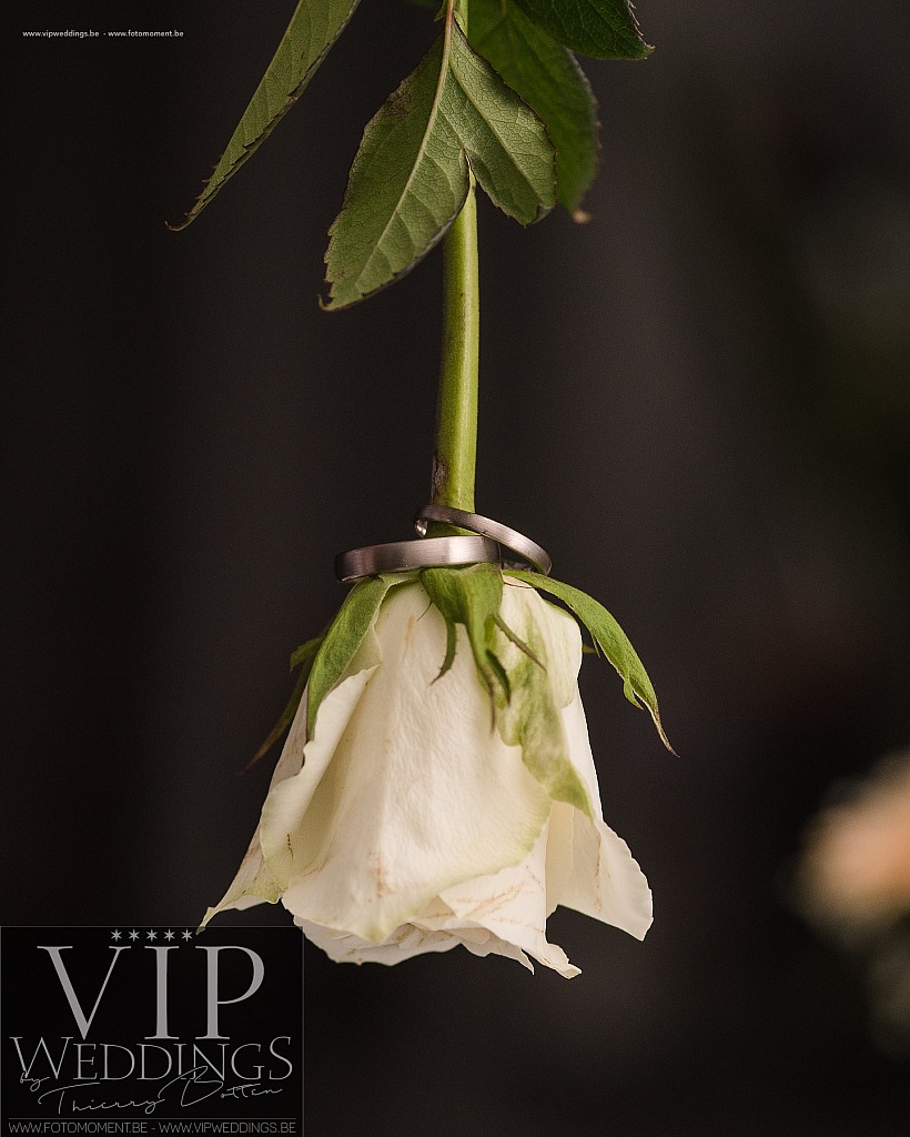 Huwelijksfotograaf-Photogrape-Mariage-Fotomoment-Moments-Photos-VIPWeddings-6995.JPG Huwelijksfotos Lynn en Matthias Huwelijksfotograaf Avin,BelgiÃ«,Belgique,Braives,Crehen,Fine Art,Fotomoment,Goedsenhoven,Hannut,HÃ©lÃ©cine,Hoegaarden,Huwelijksfotograaf,Landen,Leuven,Lincent,Moments Photos,Orp-Jauche,Photographe de mariage,Photos de mariage,Raccour,Sint-Truiden,Thierry Botten,Tienen,Toffe