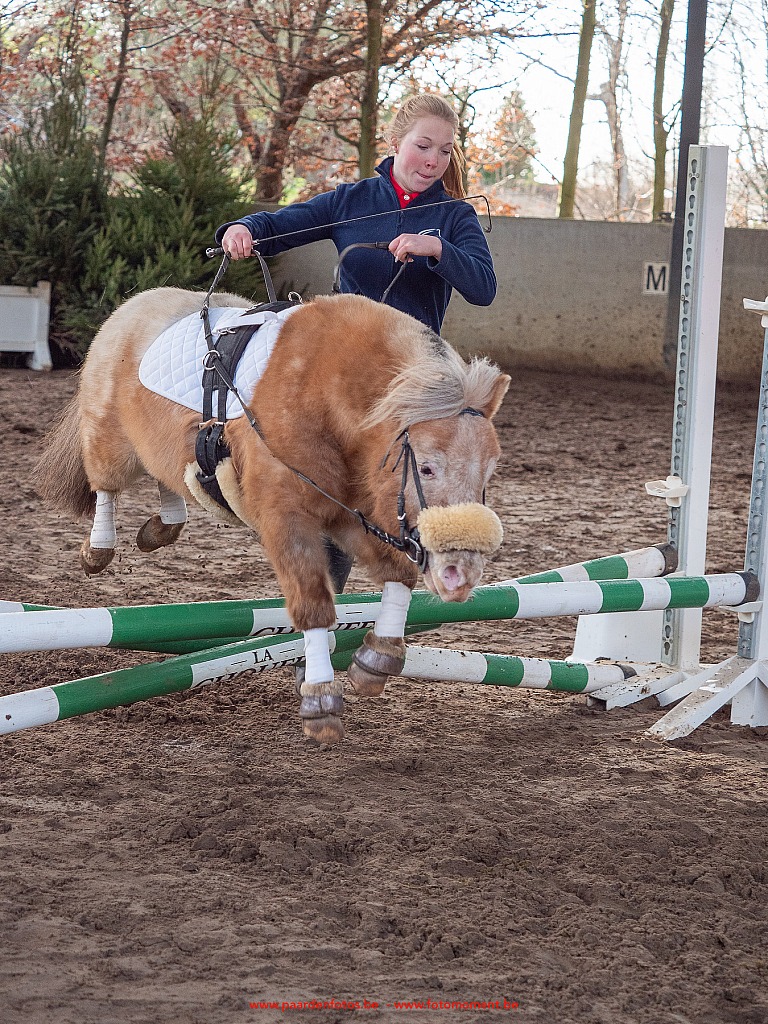 Paardenfotos-Photographe-Equestre-20200104_134626_1116582_1star_Fotomoment_eventfotograaf_Photographe_evenement.jpg Jumping Cercle Equestre L'Etrier d' Hélécine 04.01.2020 Cercle Equestre L'Etrier,Cercle Equestre L'Etrier d' HÃ©lÃ©cine,EP Stables,Equestre,Fotomoment,Jumping,Paardenfotograaf,Paardenwedstrijd,Photographe Equestre,Photographe de mariage,Thierry Botten,