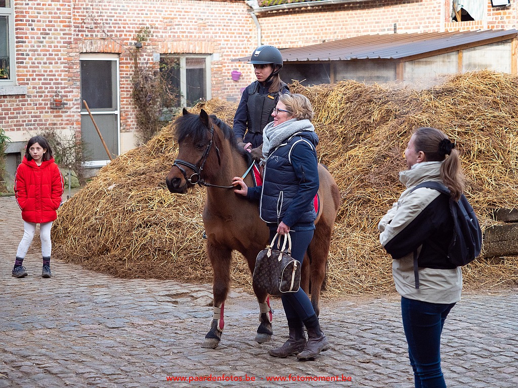 Paardenfotos-Photographe-Equestre-20200104_133428_1116549_1star_Fotomoment_eventfotograaf_Photographe_evenement.jpg Jumping Cercle Equestre L'Etrier d' Hélécine 04.01.2020 Cercle Equestre L'Etrier,Cercle Equestre L'Etrier d' HÃ©lÃ©cine,EP Stables,Equestre,Fotomoment,Jumping,Paardenfotograaf,Paardenwedstrijd,Photographe Equestre,Photographe de mariage,Thierry Botten,