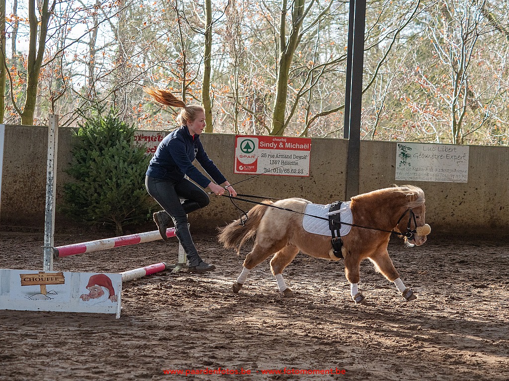 Paardenfotos-Photographe-Equestre-20200104_134551_1116580_1star_Fotomoment_eventfotograaf_Photographe_evenement.jpg Jumping Cercle Equestre L'Etrier d' Hélécine 04.01.2020 Cercle Equestre L'Etrier,Cercle Equestre L'Etrier d' HÃ©lÃ©cine,EP Stables,Equestre,Fotomoment,Jumping,Paardenfotograaf,Paardenwedstrijd,Photographe Equestre,Photographe de mariage,Thierry Botten,