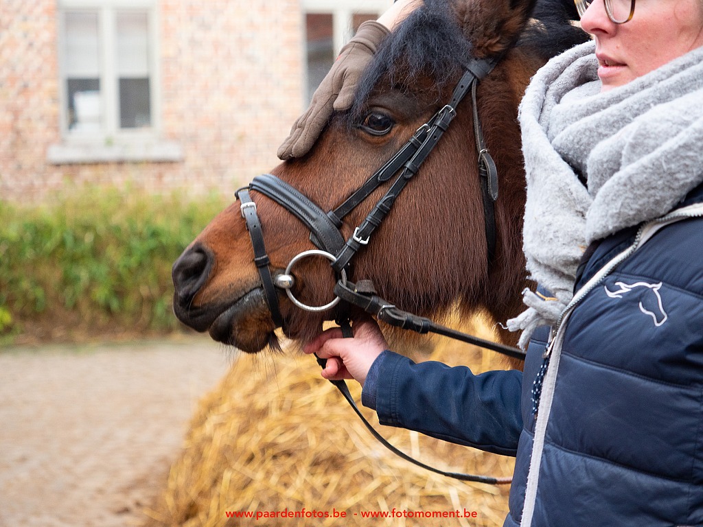 Paardenfotos-Photographe-Equestre-20200104_133358_1116541_1star_Fotomoment_eventfotograaf_Photographe_evenement.jpg Jumping Cercle Equestre L'Etrier d' Hélécine 04.01.2020 Cercle Equestre L'Etrier,Cercle Equestre L'Etrier d' HÃ©lÃ©cine,EP Stables,Equestre,Fotomoment,Jumping,Paardenfotograaf,Paardenwedstrijd,Photographe Equestre,Photographe de mariage,Thierry Botten,