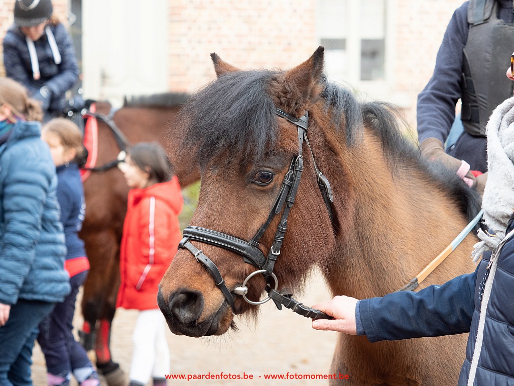 Paardenfotos-Photographe-Equestre-20200104_133514_1116561_1star_Fotomoment_eventfotograaf_Photographe_evenement.jpg Jumping Cercle Equestre L'Etrier d' Hélécine 04.01.2020 Cercle Equestre L'Etrier,Cercle Equestre L'Etrier d' HÃ©lÃ©cine,EP Stables,Equestre,Fotomoment,Jumping,Paardenfotograaf,Paardenwedstrijd,Photographe Equestre,Photographe de mariage,Thierry Botten,