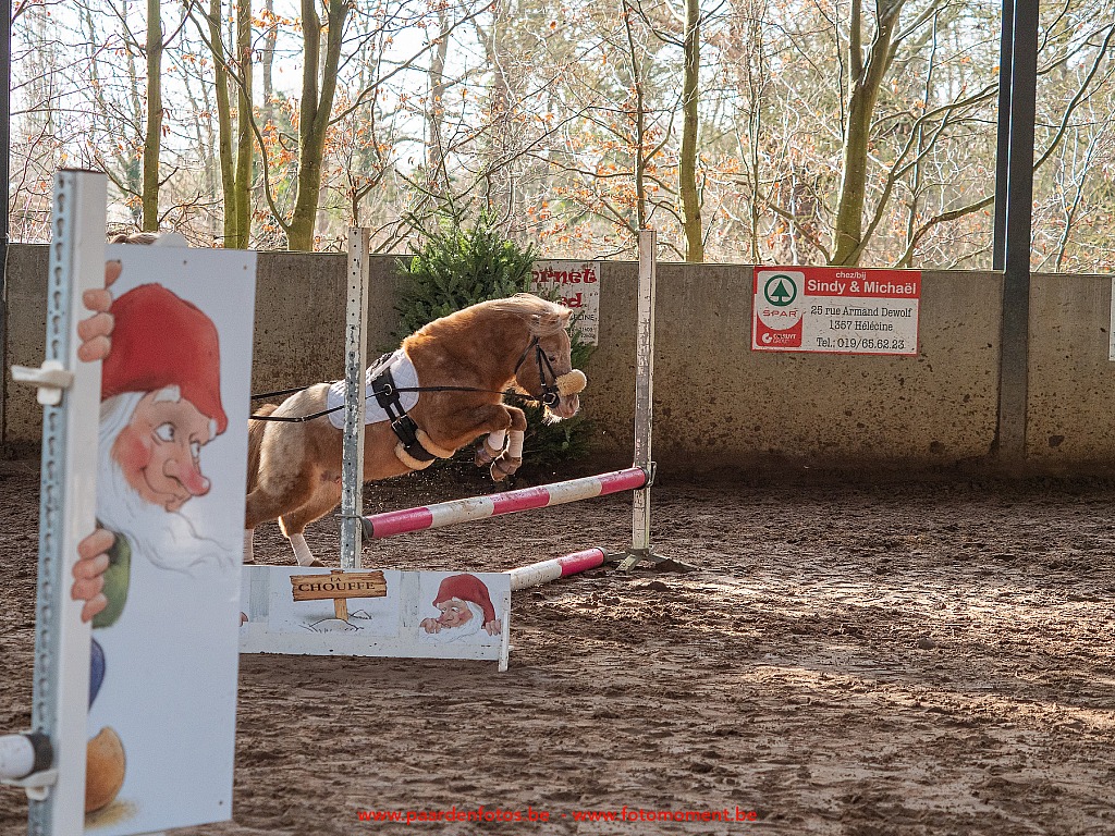 Paardenfotos-Photographe-Equestre-20200104_134550_1116578_1star_Fotomoment_eventfotograaf_Photographe_evenement.jpg Jumping Cercle Equestre L'Etrier d' Hélécine 04.01.2020 Cercle Equestre L'Etrier,Cercle Equestre L'Etrier d' HÃ©lÃ©cine,EP Stables,Equestre,Fotomoment,Jumping,Paardenfotograaf,Paardenwedstrijd,Photographe Equestre,Photographe de mariage,Thierry Botten,
