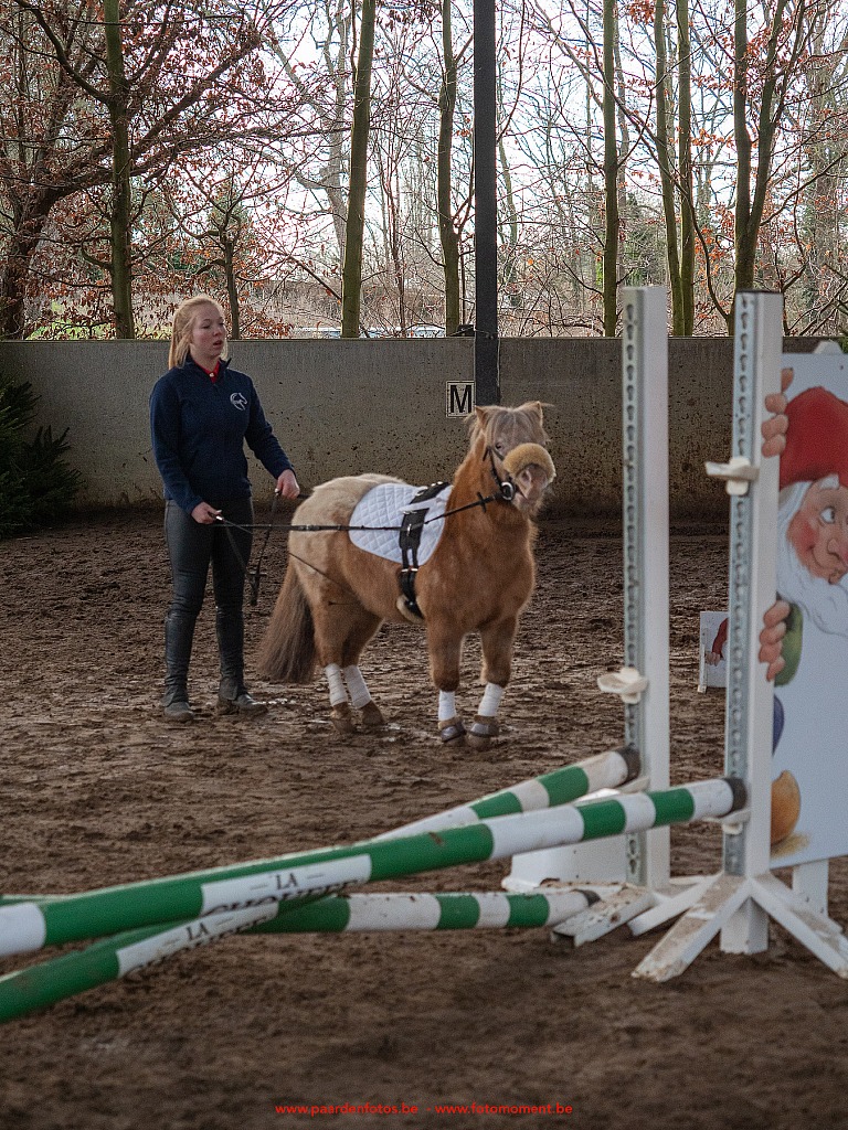 Paardenfotos-Photographe-Equestre-20200104_134504_1116576_1star_Fotomoment_eventfotograaf_Photographe_evenement.jpg Jumping Cercle Equestre L'Etrier d' Hélécine 04.01.2020 Cercle Equestre L'Etrier,Cercle Equestre L'Etrier d' HÃ©lÃ©cine,EP Stables,Equestre,Fotomoment,Jumping,Paardenfotograaf,Paardenwedstrijd,Photographe Equestre,Photographe de mariage,Thierry Botten,