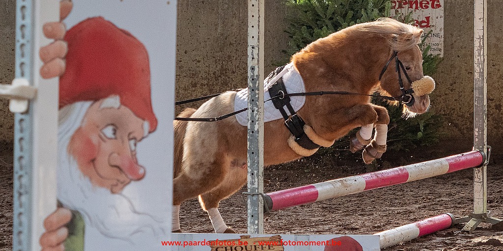 Paardenfotos-Photographe-Equestre-20200104_134550_1116578_1star_Fotomoment_eventfotograaf_Photographe_evenement-2.jpg Jumping Cercle Equestre L'Etrier d' Hélécine 04.01.2020 Cercle Equestre L'Etrier,Cercle Equestre L'Etrier d' HÃ©lÃ©cine,EP Stables,Equestre,Fotomoment,Jumping,Paardenfotograaf,Paardenwedstrijd,Photographe Equestre,Photographe de mariage,Thierry Botten,