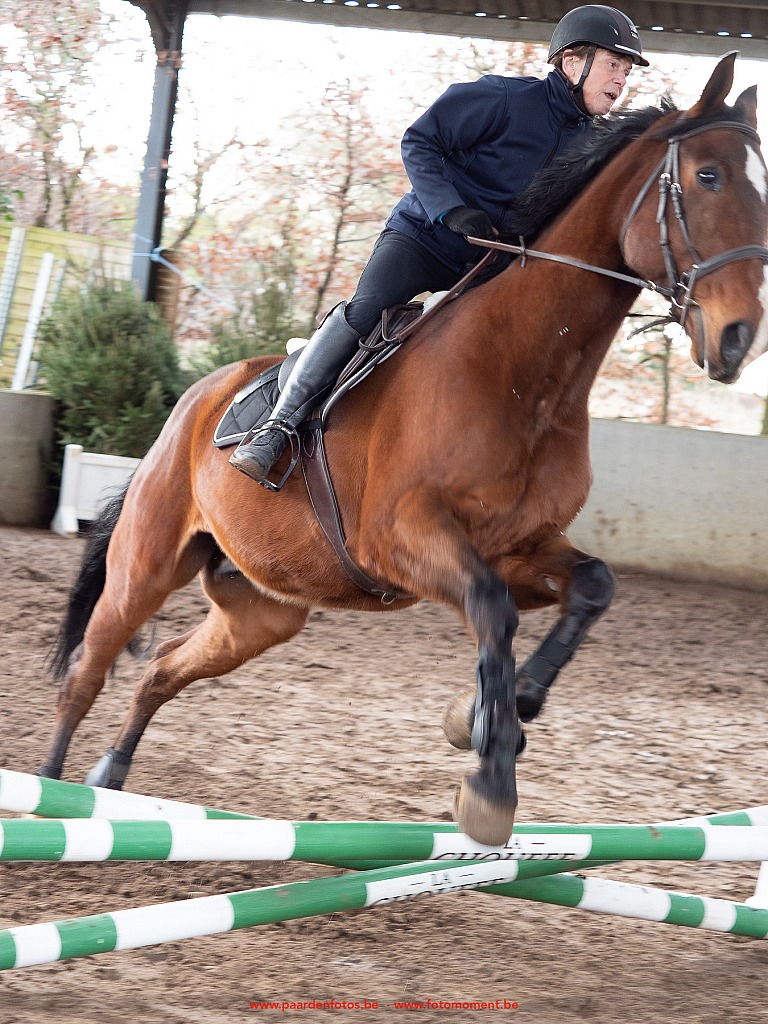 Paardenfotos-Photographe-Equestre-20200104_134304_1116569_1star_Fotomoment_eventfotograaf_Photographe_evenement.jpg Jumping Cercle Equestre L'Etrier d' Hélécine 04.01.2020 Cercle Equestre L'Etrier,Cercle Equestre L'Etrier d' HÃ©lÃ©cine,EP Stables,Equestre,Fotomoment,Jumping,Paardenfotograaf,Paardenwedstrijd,Photographe Equestre,Photographe de mariage,Thierry Botten,