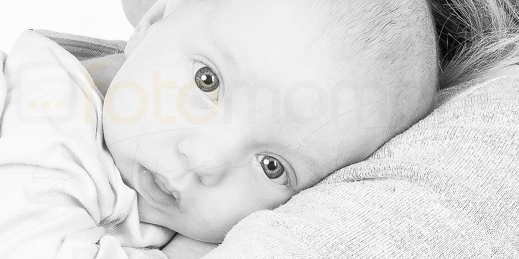 photographe