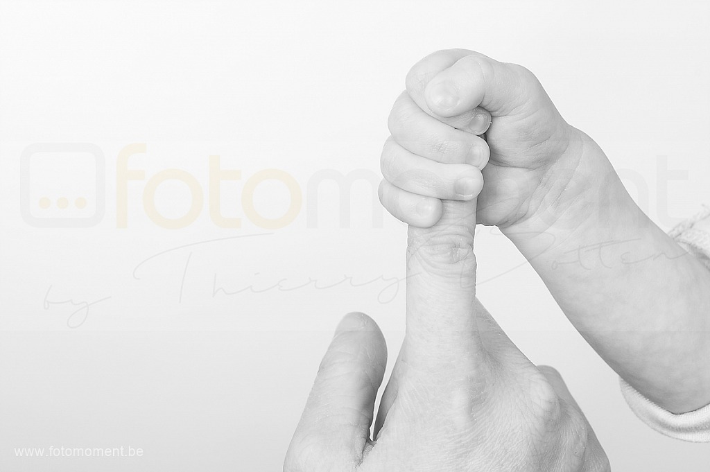 photographe