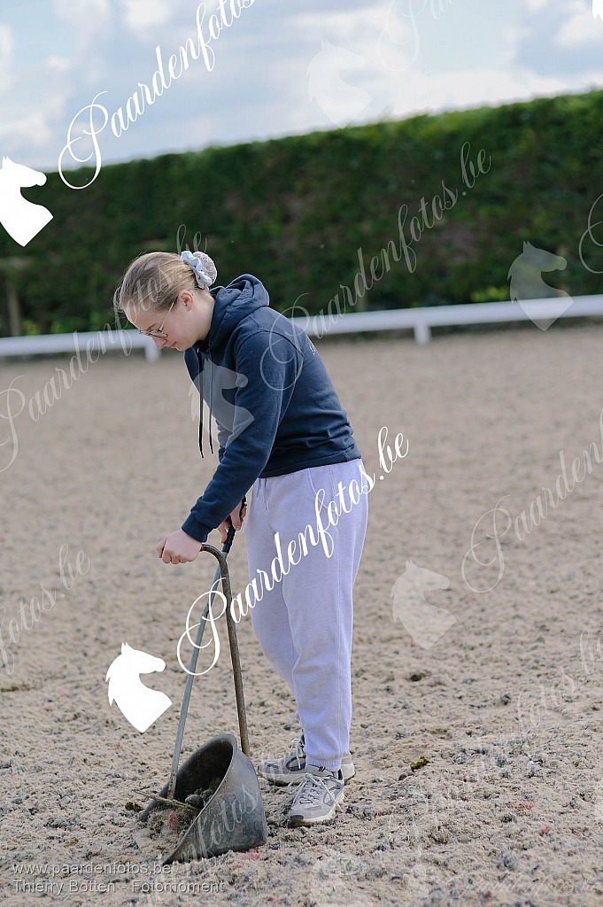 Photographe Fotograaf Equestre Paardenfotograaf Paardenfotos