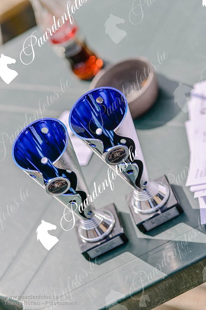 Photographe Fotograaf Equestre Paardenfotograaf Paardenfotos