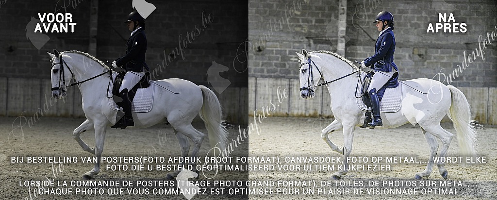 20211121_0000_2.JPG HGVBB Dressuurwedstrijd 10/04/2022 