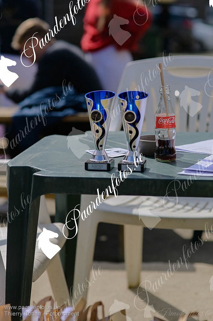 Photographe Fotograaf Equestre Paardenfotograaf Paardenfotos