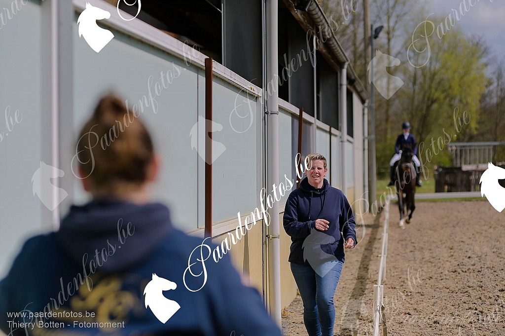 Photographe Fotograaf Equestre Paardenfotograaf Paardenfotos