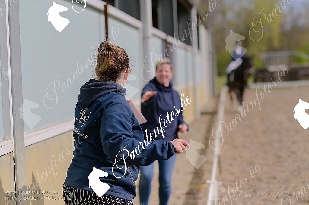 Photographe Fotograaf Equestre Paardenfotograaf Paardenfotos