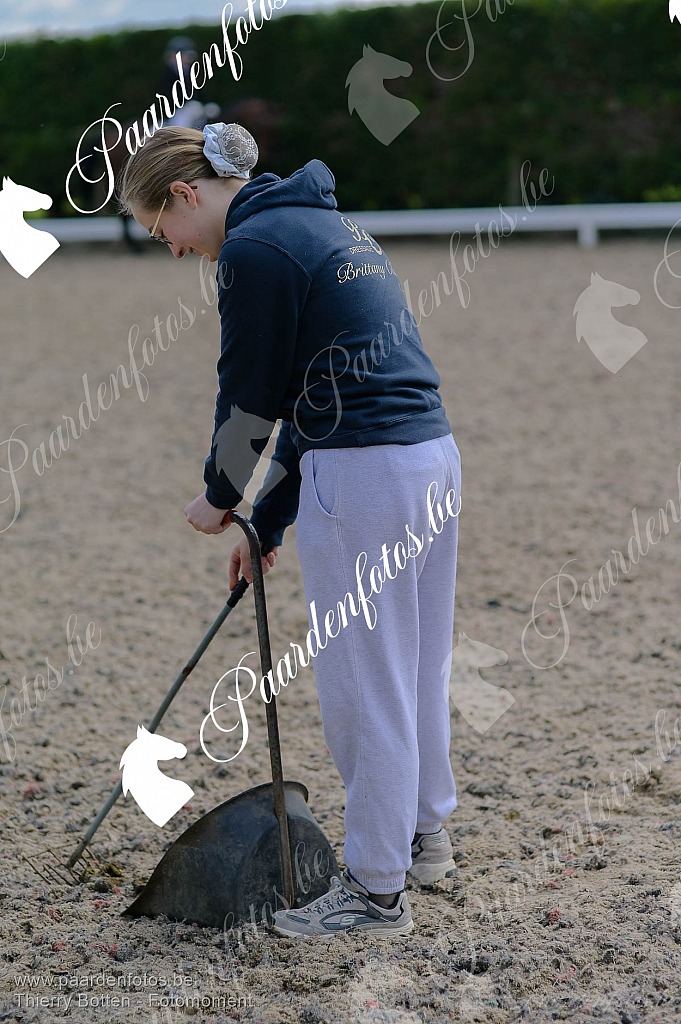 Photographe Fotograaf Equestre Paardenfotograaf Paardenfotos