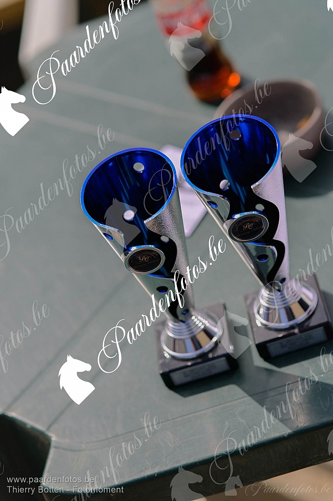 Photographe Fotograaf Equestre Paardenfotograaf Paardenfotos