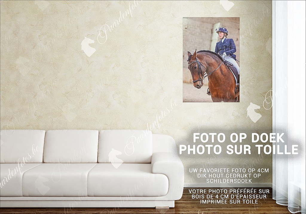 20211121_0000_3.JPG HGVBB Dressuurwedstrijd 10/04/2022 