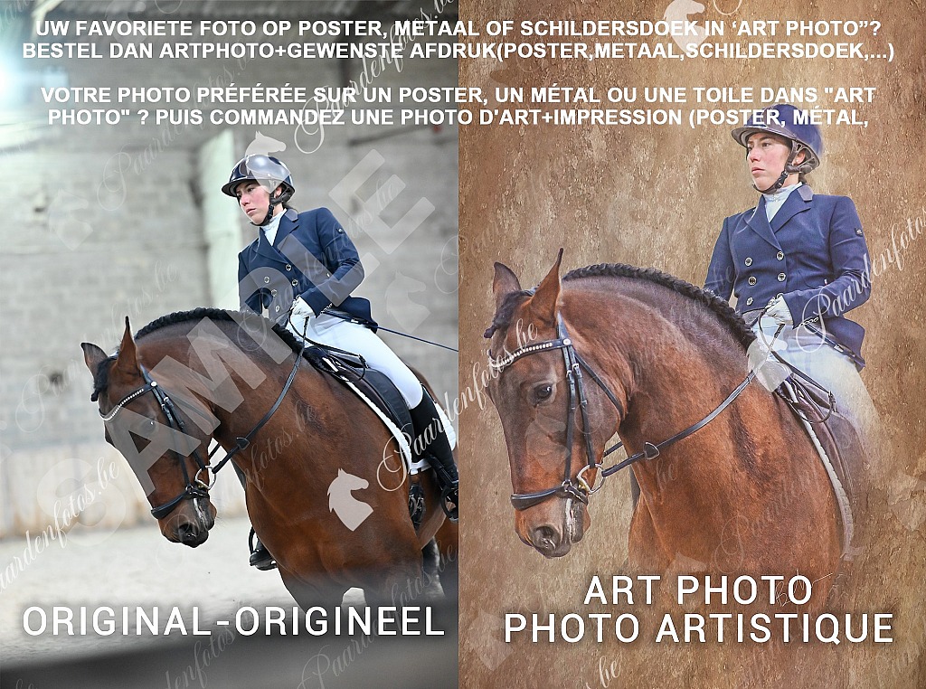 20211121_0000_1.JPG HGVBB Dressuurwedstrijd 10/04/2022 special,