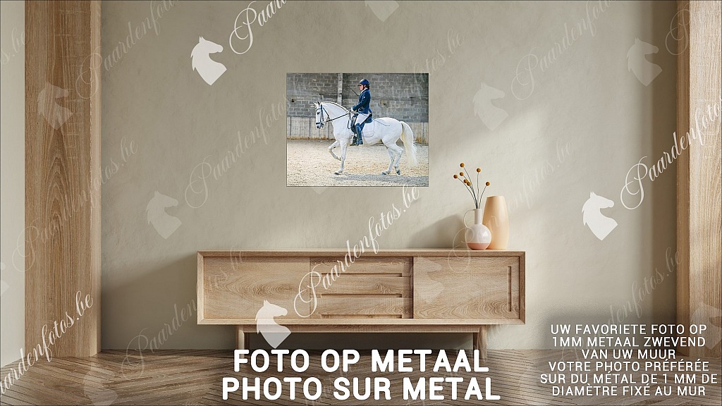 20211121_0000_4.JPG HGVBB Dressuurwedstrijd 10/04/2022 