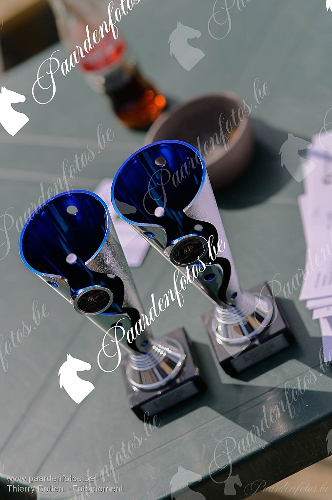 Photographe Fotograaf Equestre Paardenfotograaf Paardenfotos