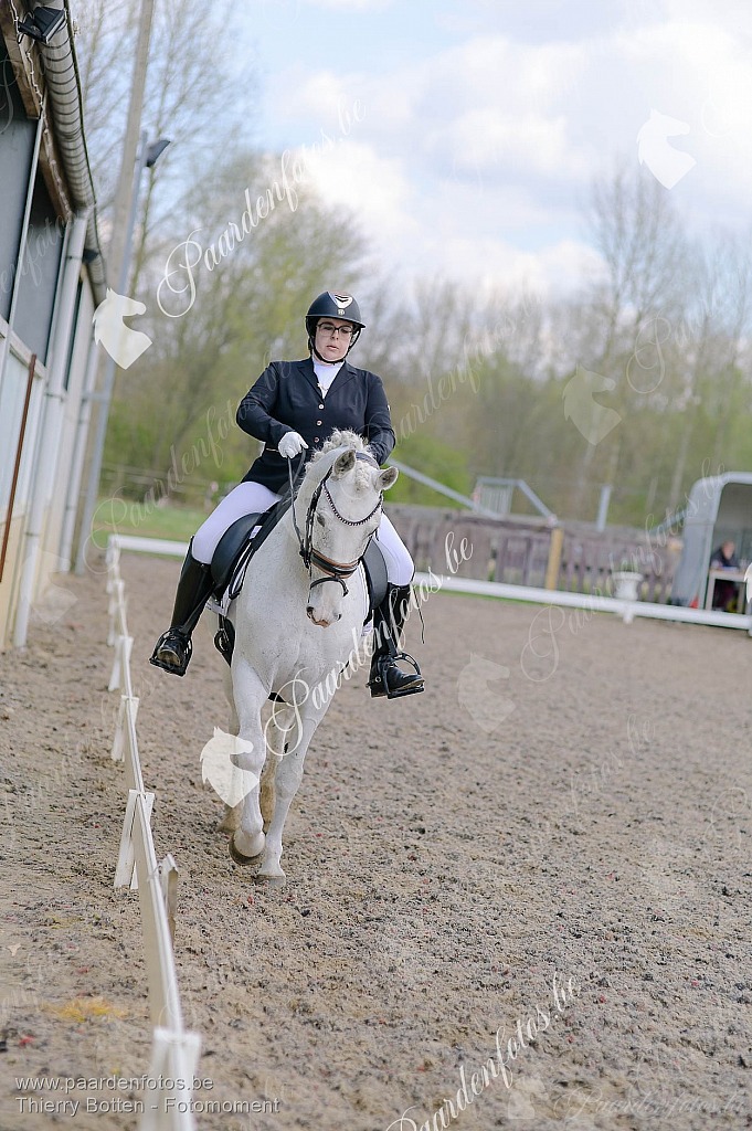 Photographe Fotograaf Equestre Paardenfotograaf Paardenfotos
