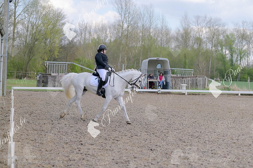 Photographe Fotograaf Equestre Paardenfotograaf Paardenfotos