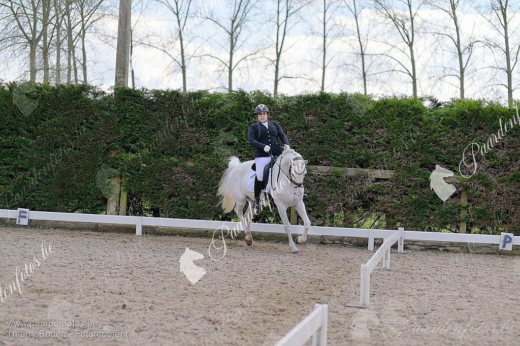 Photographe Fotograaf Equestre Paardenfotograaf Paardenfotos