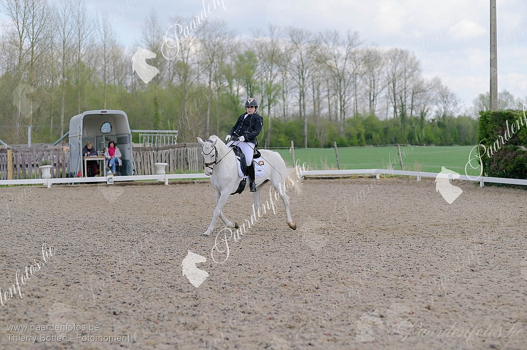 Photographe Fotograaf Equestre Paardenfotograaf Paardenfotos