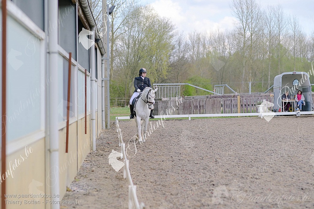 Photographe Fotograaf Equestre Paardenfotograaf Paardenfotos
