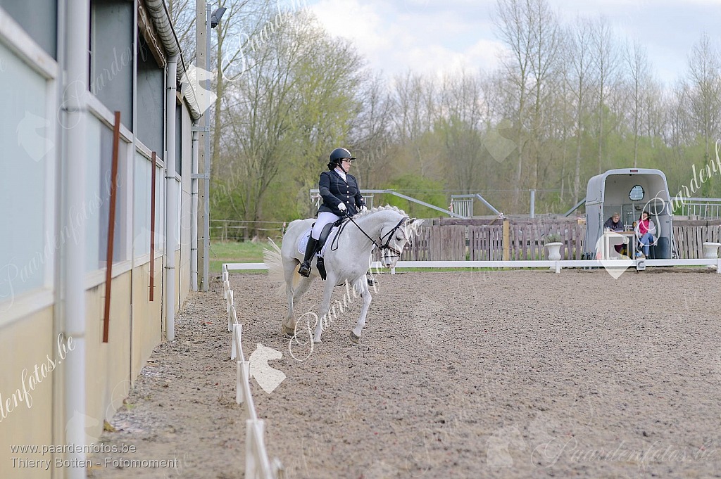 Photographe Fotograaf Equestre Paardenfotograaf Paardenfotos