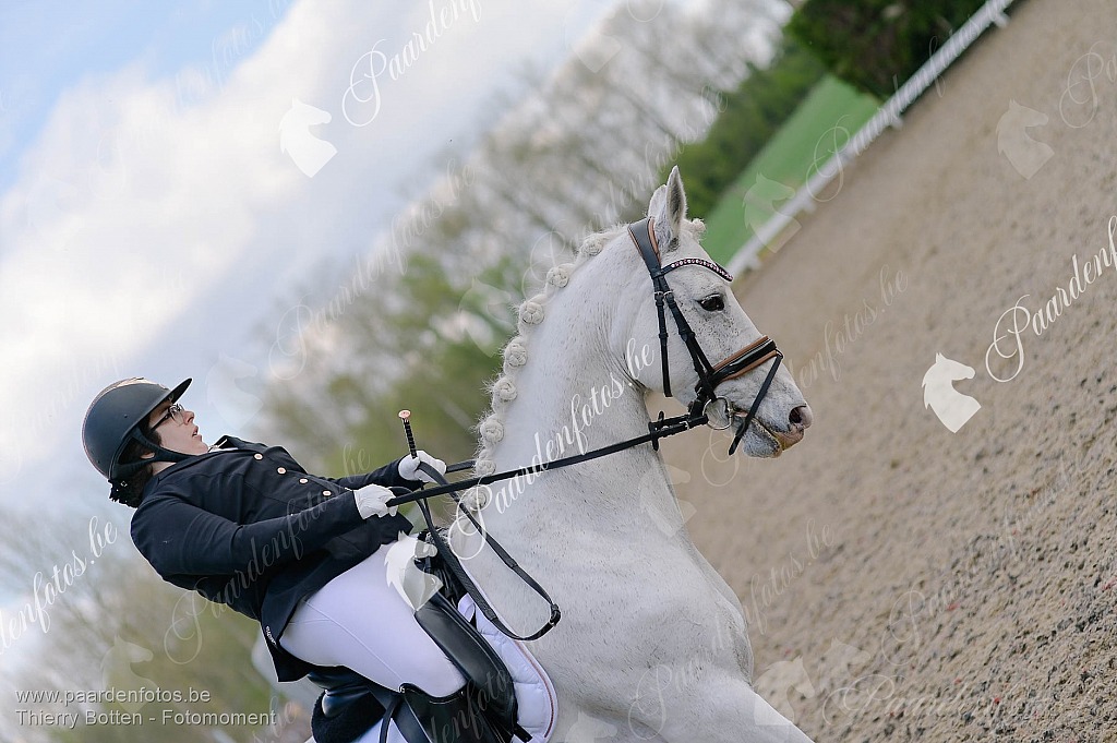 Photographe Fotograaf Equestre Paardenfotograaf Paardenfotos