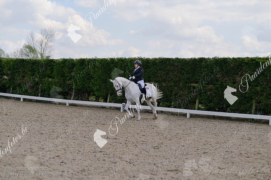Photographe Fotograaf Equestre Paardenfotograaf Paardenfotos