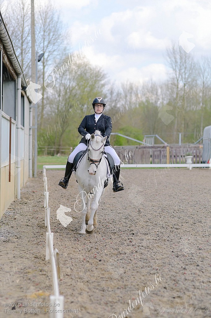 Photographe Fotograaf Equestre Paardenfotograaf Paardenfotos