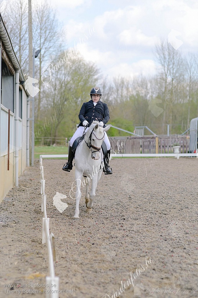 Photographe Fotograaf Equestre Paardenfotograaf Paardenfotos
