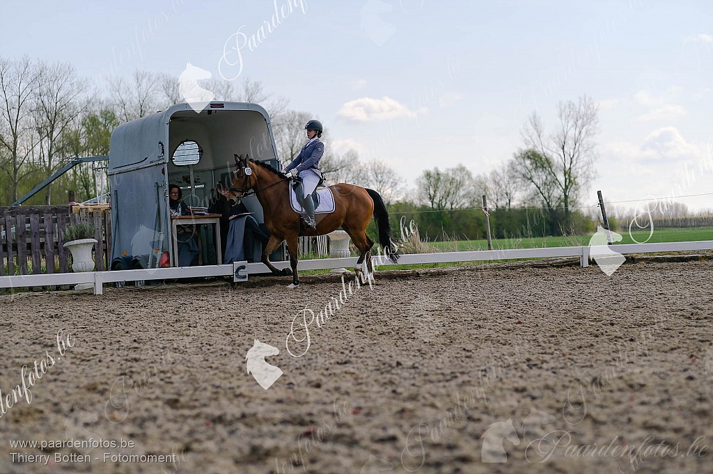 Photographe Fotograaf Equestre Paardenfotograaf Paardenfotos
