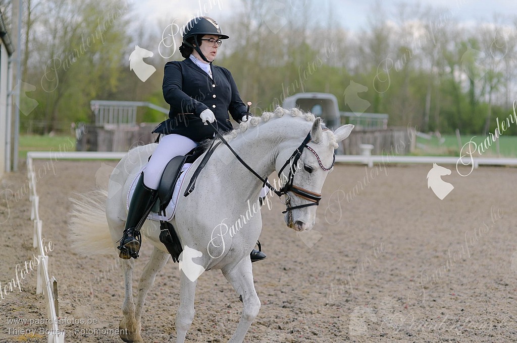 Photographe Fotograaf Equestre Paardenfotograaf Paardenfotos