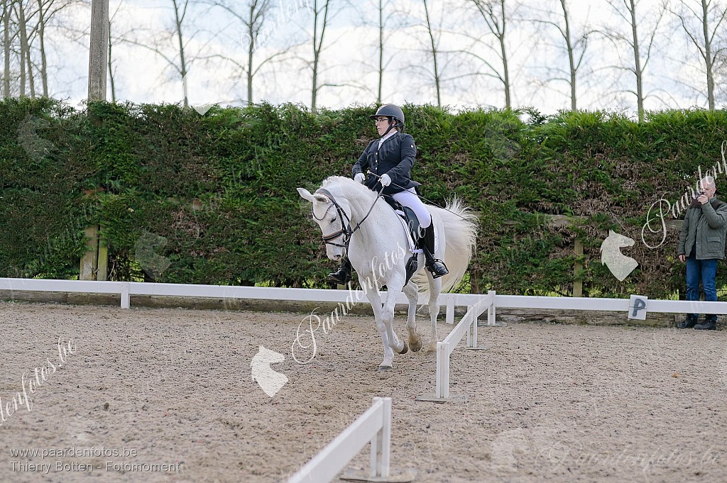 Photographe Fotograaf Equestre Paardenfotograaf Paardenfotos