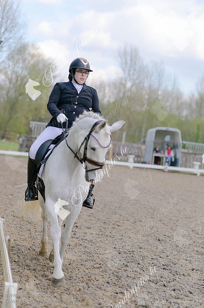 Photographe Fotograaf Equestre Paardenfotograaf Paardenfotos