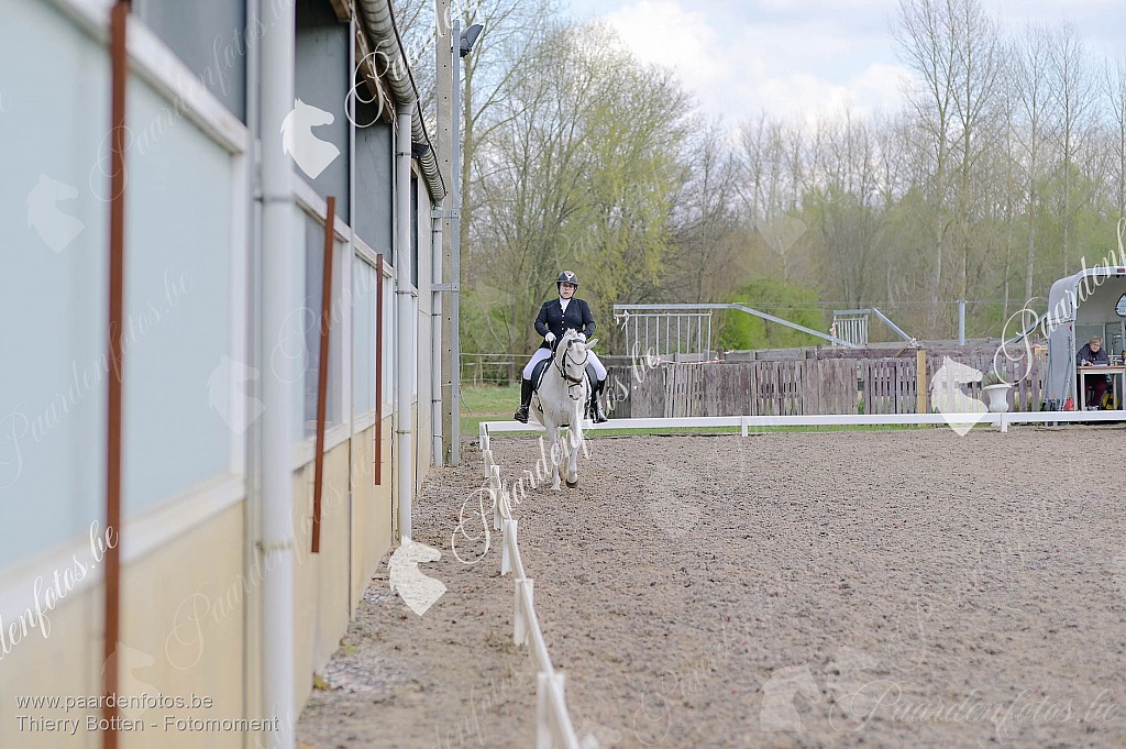 Photographe Fotograaf Equestre Paardenfotograaf Paardenfotos