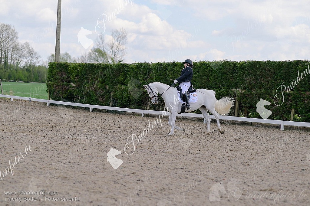Photographe Fotograaf Equestre Paardenfotograaf Paardenfotos
